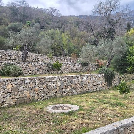 Villa Belle Air Herceg Novi Exteriér fotografie